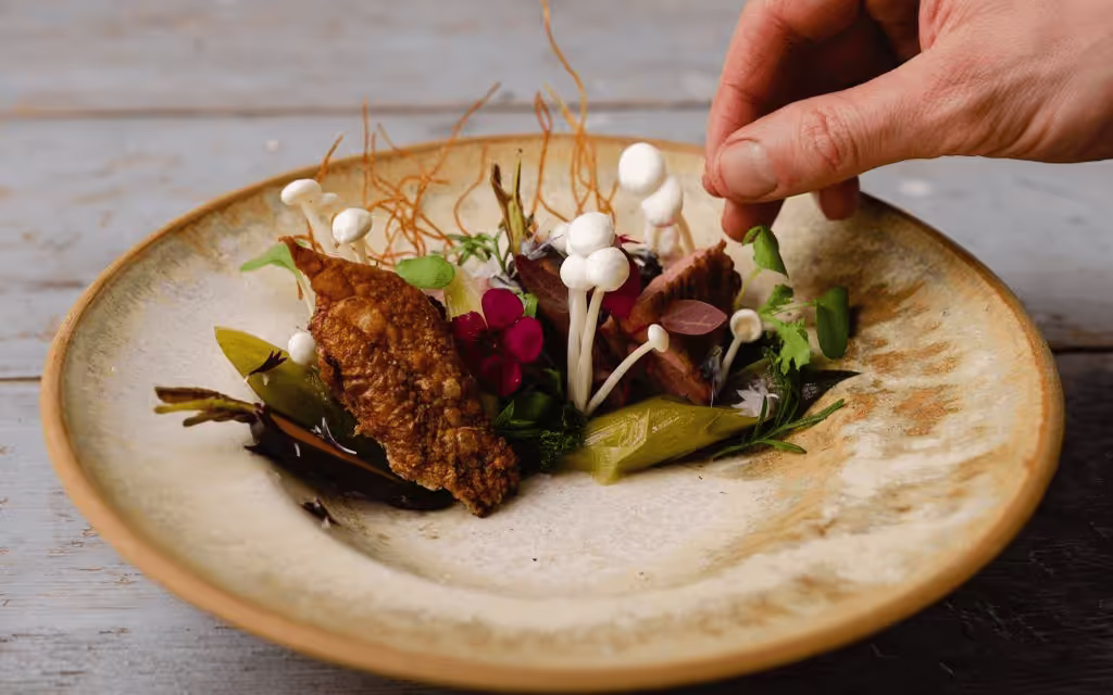 Embracing sustainability in gastronomy: nurturing a greener culinary landscape