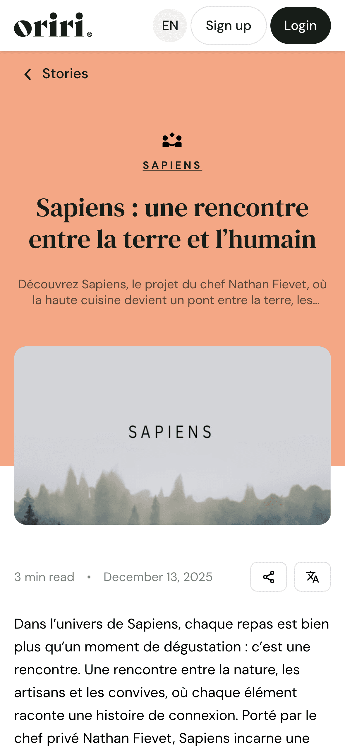 Showcase your portfolio. Highlight case studies, before and after work, and the impact you create.